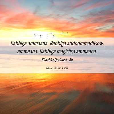 Picture 06 - Sabuurradii 113:1 SOM - Rabbiga ammaana. Rabbiga addoommadiisow, ammaana. - Bible Verse Picture