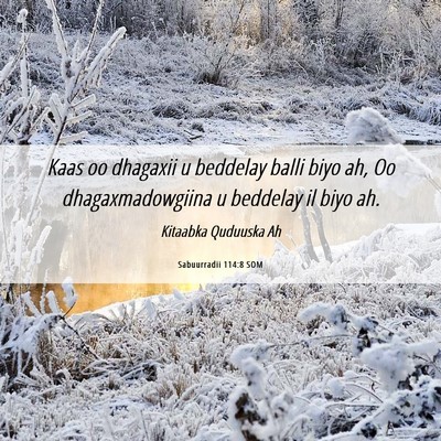 Picture 06 - Sabuurradii 114:8 SOM - Kaas oo dhagaxii u beddelay balli biyo ah, Oo - Bible Verse Picture