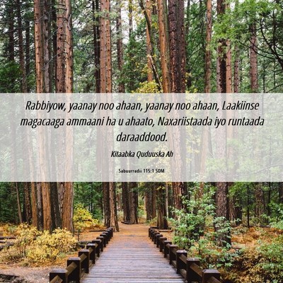 Picture 06 - Sabuurradii 115:1 SOM - Rabbiyow, yaanay noo ahaan, yaanay noo ahaan, - Bible Verse Picture