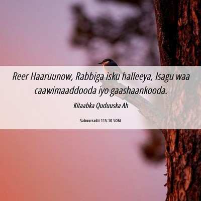 Picture 06 - Sabuurradii 115:10 SOM - Reer Haaruunow, Rabbiga isku halleeya, Isagu waa - Bible Verse Picture