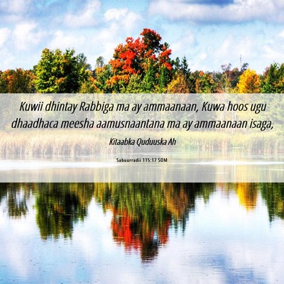 Picture 06 - Sabuurradii 115:17 SOM - Kuwii dhintay Rabbiga ma ay ammaanaan, Kuwa hoos - Bible Verse Picture