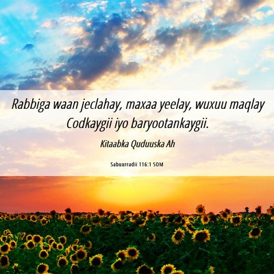 Picture 06 - Sabuurradii 116:1 SOM - Rabbiga waan jeclahay, maxaa yeelay, wuxuu maqlay - Bible Verse Picture