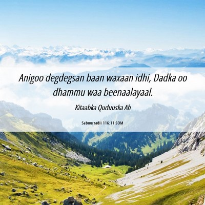 Picture 06 - Sabuurradii 116:11 SOM - Anigoo degdegsan baan waxaan idhi, Dadka oo - Bible Verse Picture