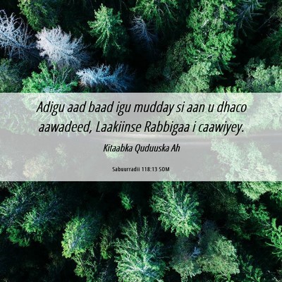 Picture 06 - Sabuurradii 118:13 SOM - Adigu aad baad igu mudday si aan u dhaco - Bible Verse Picture