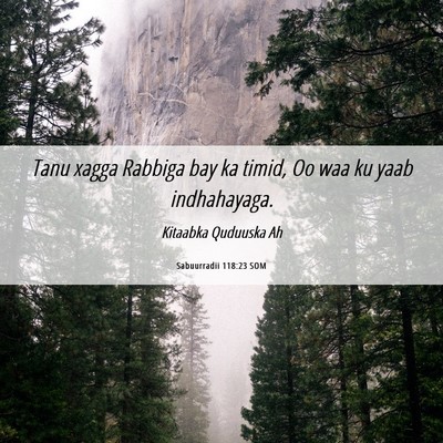 Picture 06 - Sabuurradii 118:23 SOM - Tanu xagga Rabbiga bay ka timid, Oo waa ku yaab - Bible Verse Picture