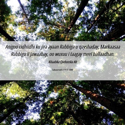 Picture 06 - Sabuurradii 118:5 SOM - Anigoo cidhiidhi ku jira ayaan Rabbiga u - Bible Verse Picture