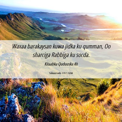 Picture 06 - Sabuurradii 119:1 SOM - Waxaa barakaysan kuwa jidka ku qumman, Oo - Bible Verse Picture