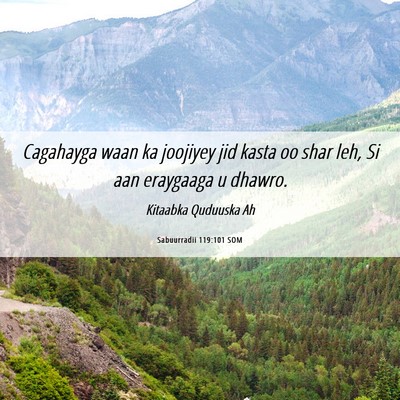 Picture 06 - Sabuurradii 119:101 SOM - Cagahayga waan ka joojiyey jid kasta oo shar leh, - Bible Verse Picture