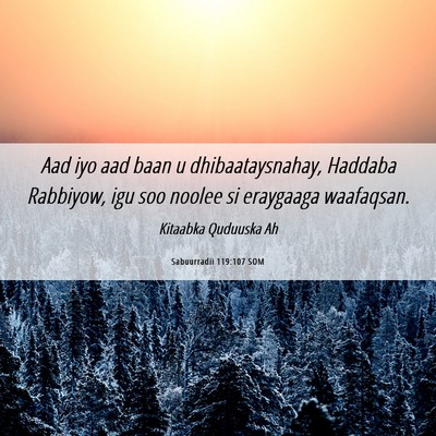Picture 06 - Sabuurradii 119:107 SOM - Aad iyo aad baan u dhibaataysnahay, Haddaba - Bible Verse Picture