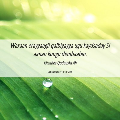 Picture 06 - Sabuurradii 119:11 SOM - Waxaan eraygaagii qalbigayga ugu kaydsaday Si - Bible Verse Picture