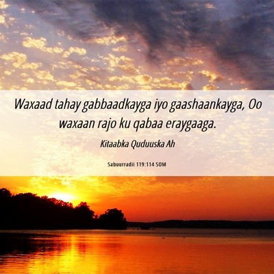 Picture 06 - Sabuurradii 119:114 SOM - Waxaad tahay gabbaadkayga iyo gaashaankayga, Oo - Bible Verse Picture