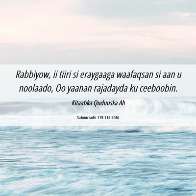 Picture 06 - Sabuurradii 119:116 SOM - Rabbiyow, ii tiiri si eraygaaga waafaqsan si aan - Bible Verse Picture