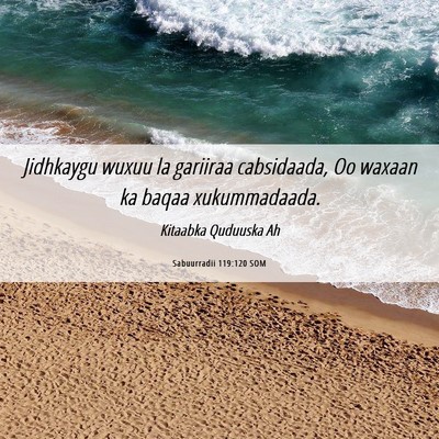 Picture 06 - Sabuurradii 119:120 SOM - Jidhkaygu wuxuu la gariiraa cabsidaada, Oo waxaan - Bible Verse Picture