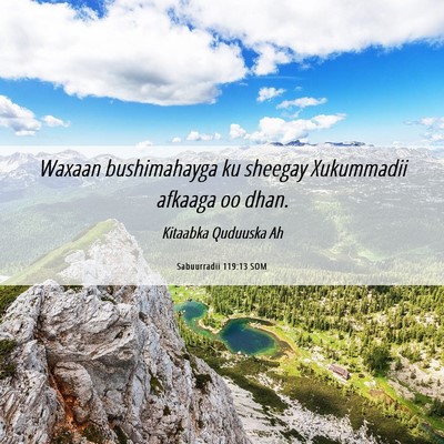 Picture 06 - Sabuurradii 119:13 SOM - Waxaan bushimahayga ku sheegay Xukummadii afkaaga - Bible Verse Picture