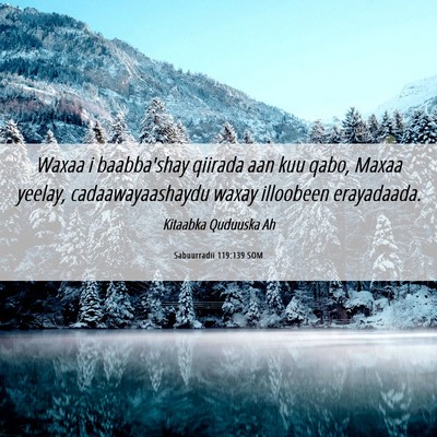 Picture 06 - Sabuurradii 119:139 SOM - Waxaa i baabba'shay qiirada aan kuu qabo, Maxaa - Bible Verse Picture