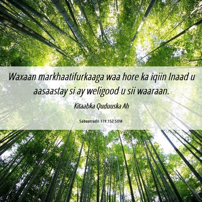 Picture 06 - Sabuurradii 119:152 SOM - Waxaan markhaatifurkaaga waa hore ka iqiin Inaad - Bible Verse Picture