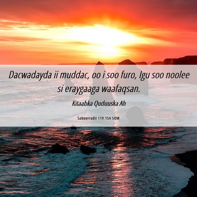 Picture 06 - Sabuurradii 119:154 SOM - Dacwadayda ii muddac, oo i soo furo, Igu soo - Bible Verse Picture
