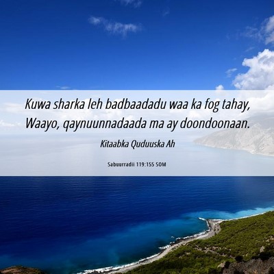 Picture 06 - Sabuurradii 119:155 SOM - Kuwa sharka leh badbaadadu waa ka fog tahay, - Bible Verse Picture
