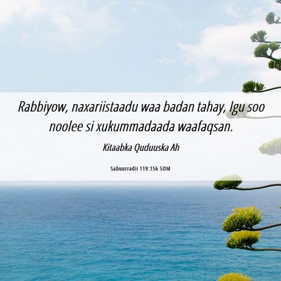Picture 06 - Sabuurradii 119:156 SOM - Rabbiyow, naxariistaadu waa badan tahay, Igu soo - Bible Verse Picture