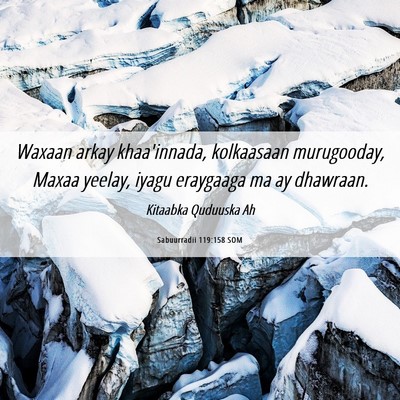 Picture 06 - Sabuurradii 119:158 SOM - Waxaan arkay khaa'innada, kolkaasaan murugooday, - Bible Verse Picture