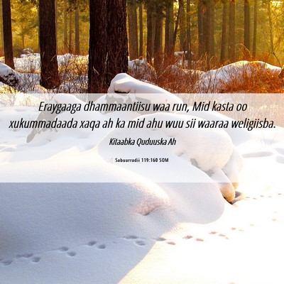 Picture 06 - Sabuurradii 119:160 SOM - Eraygaaga dhammaantiisu waa run, Mid kasta oo - Bible Verse Picture