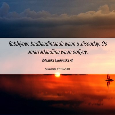 Picture 06 - Sabuurradii 119:166 SOM - Rabbiyow, badbaadintaada waan u xiisooday, Oo - Bible Verse Picture