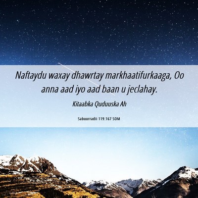 Picture 06 - Sabuurradii 119:167 SOM - Naftaydu waxay dhawrtay markhaatifurkaaga, Oo - Bible Verse Picture