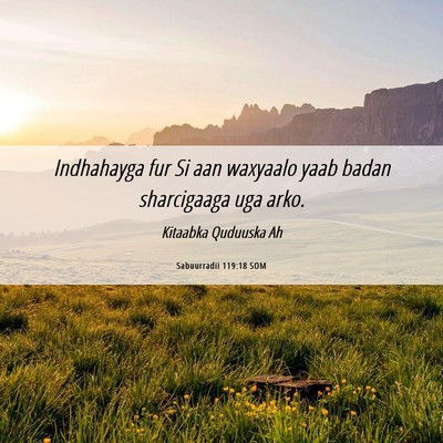 Picture 06 - Sabuurradii 119:18 SOM - Indhahayga fur Si aan waxyaalo yaab badan - Bible Verse Picture