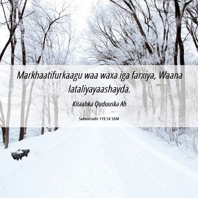Picture 06 - Sabuurradii 119:24 SOM - Markhaatifurkaagu waa waxa iga farxiya, Waana - Bible Verse Picture