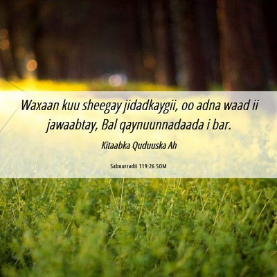 Picture 06 - Sabuurradii 119:26 SOM - Waxaan kuu sheegay jidadkaygii, oo adna waad ii - Bible Verse Picture