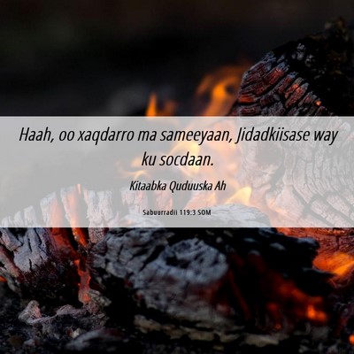 Picture 06 - Sabuurradii 119:3 SOM - Haah, oo xaqdarro ma sameeyaan, Jidadkiisase way - Bible Verse Picture