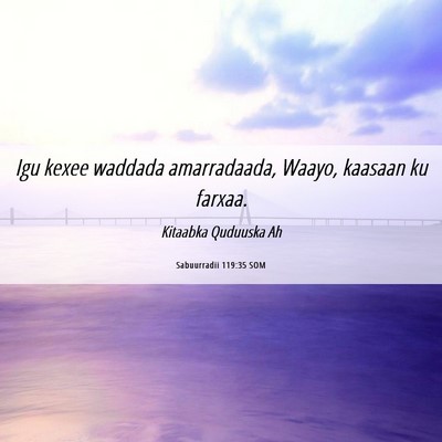 Picture 06 - Sabuurradii 119:35 SOM - Igu kexee waddada amarradaada, Waayo, kaasaan ku - Bible Verse Picture