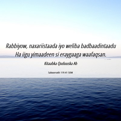 Picture 06 - Sabuurradii 119:41 SOM - Rabbiyow, naxariistaada iyo weliba badbaadintaadu - Bible Verse Picture
