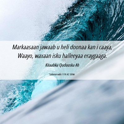 Picture 06 - Sabuurradii 119:42 SOM - Markaasaan jawaab u heli doonaa kan i caaya, - Bible Verse Picture