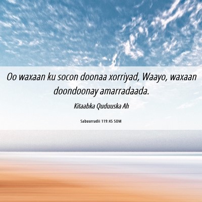 Picture 06 - Sabuurradii 119:45 SOM - Oo waxaan ku socon doonaa xorriyad, Waayo, waxaan - Bible Verse Picture