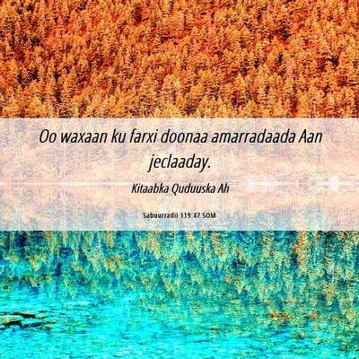 Picture 06 - Sabuurradii 119:47 SOM - Oo waxaan ku farxi doonaa amarradaada Aan - Bible Verse Picture