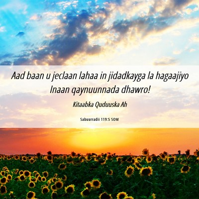 Picture 06 - Sabuurradii 119:5 SOM - Aad baan u jeclaan lahaa in jidadkayga la - Bible Verse Picture