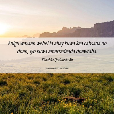 Picture 06 - Sabuurradii 119:63 SOM - Anigu waxaan wehel la ahay kuwa kaa cabsada oo - Bible Verse Picture
