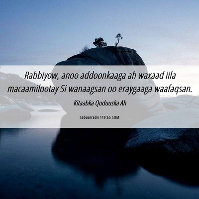 Picture 06 - Sabuurradii 119:65 SOM - Rabbiyow, anoo addoonkaaga ah waxaad iila - Bible Verse Picture