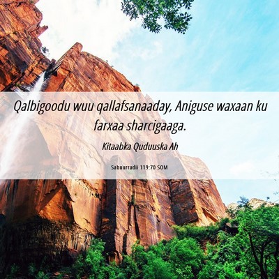 Picture 06 - Sabuurradii 119:70 SOM - Qalbigoodu wuu qallafsanaaday, Aniguse waxaan ku - Bible Verse Picture