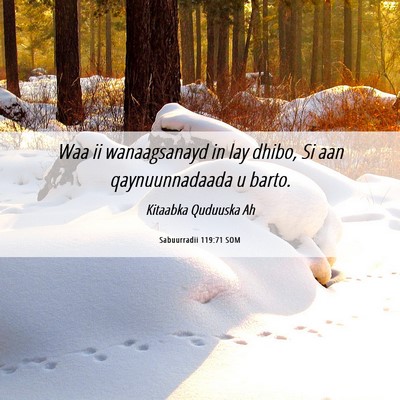 Picture 06 - Sabuurradii 119:71 SOM - Waa ii wanaagsanayd in lay dhibo, Si aan - Bible Verse Picture