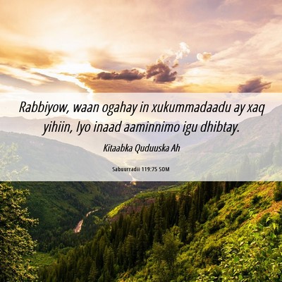 Picture 06 - Sabuurradii 119:75 SOM - Rabbiyow, waan ogahay in xukummadaadu ay xaq - Bible Verse Picture
