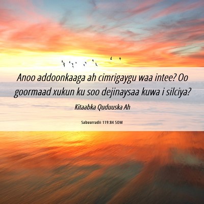 Picture 06 - Sabuurradii 119:84 SOM - Anoo addoonkaaga ah cimrigaygu waa intee? Oo - Bible Verse Picture