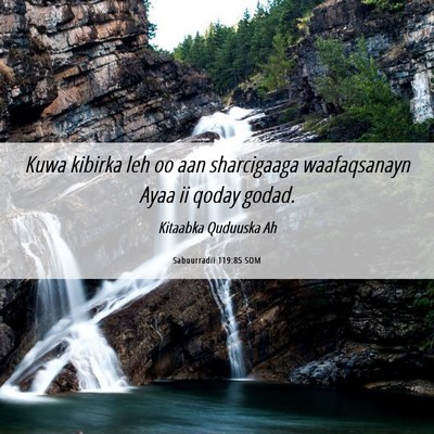Picture 06 - Sabuurradii 119:85 SOM - Kuwa kibirka leh oo aan sharcigaaga waafaqsanayn - Bible Verse Picture