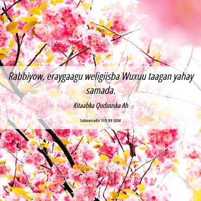 Picture 06 - Sabuurradii 119:89 SOM - Rabbiyow, eraygaagu weligiisba Wuxuu taagan yahay - Bible Verse Picture