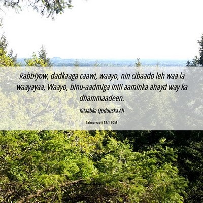 Picture 06 - Sabuurradii 12:1 SOM - Rabbiyow, dadkaaga caawi, waayo, nin cibaado leh - Bible Verse Picture