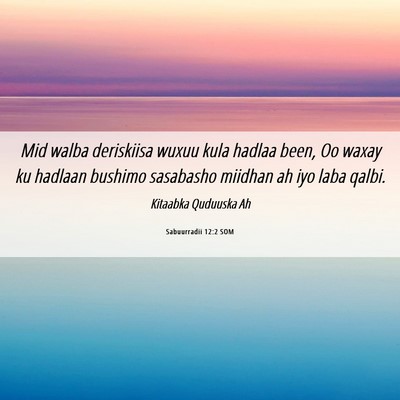 Picture 06 - Sabuurradii 12:2 SOM - Mid walba deriskiisa wuxuu kula hadlaa been, Oo - Bible Verse Picture