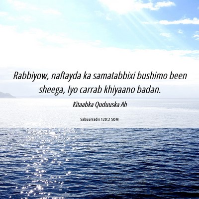 Picture 06 - Sabuurradii 120:2 SOM - Rabbiyow, naftayda ka samatabbixi bushimo been - Bible Verse Picture