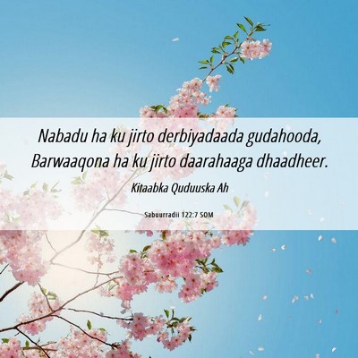 Picture 06 - Sabuurradii 122:7 SOM - Nabadu ha ku jirto derbiyadaada gudahooda, - Bible Verse Picture