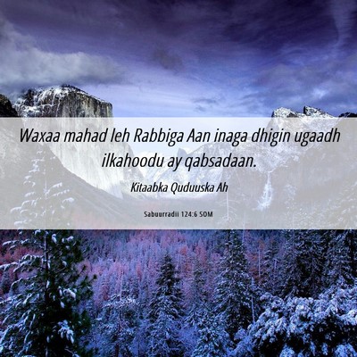 Picture 06 - Sabuurradii 124:6 SOM - Waxaa mahad leh Rabbiga Aan inaga dhigin ugaadh - Bible Verse Picture